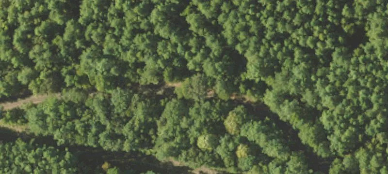 Land Available in Copiah County