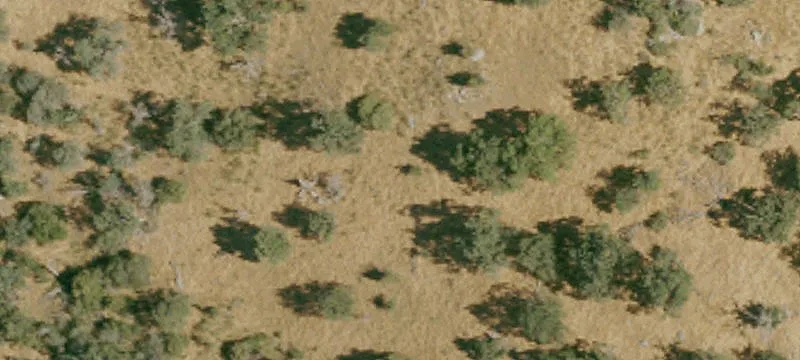 Residential Lot with Mountain Views