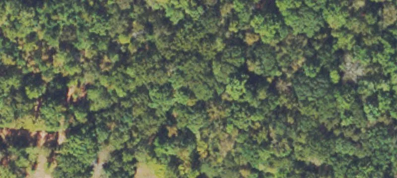 Cleared Land Near Lake Oconee
