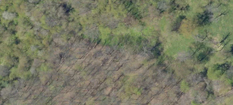 5.17 Acre Residential Lot