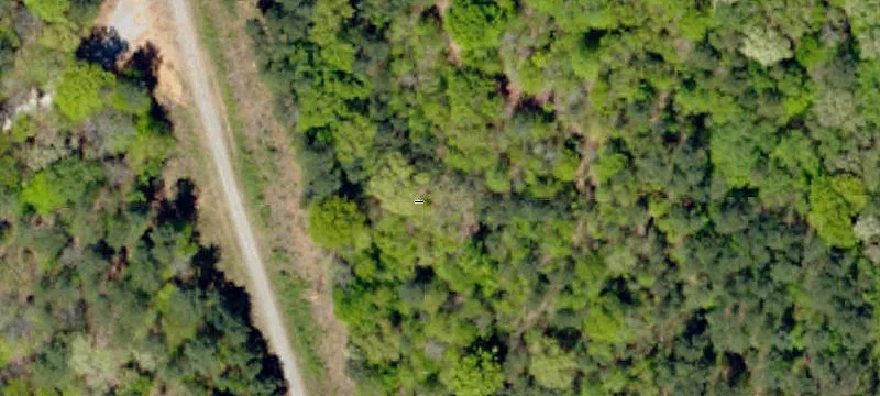 Lake Russell Waterfront Acreage