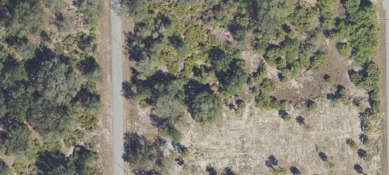Residential Homesite with Mature Trees