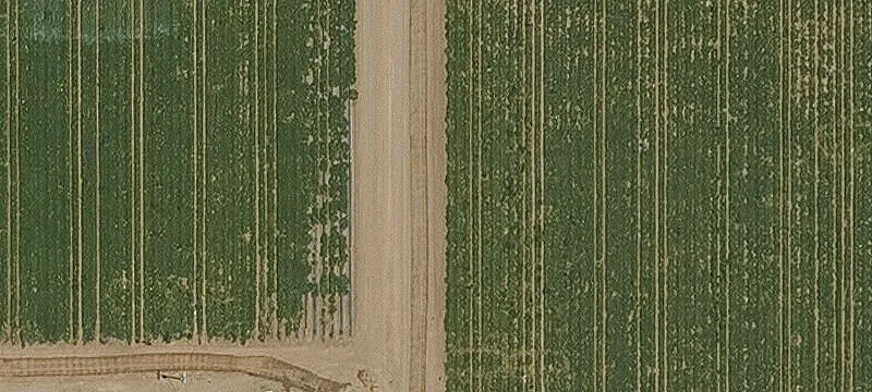 Eagle Ranch Land Investment Opportunity