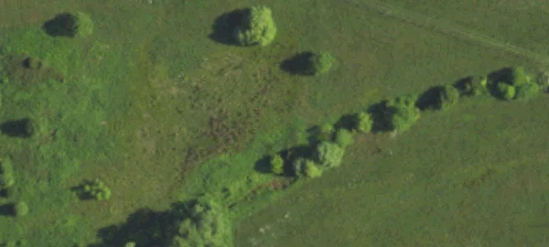 24 Acres of Versatile Land