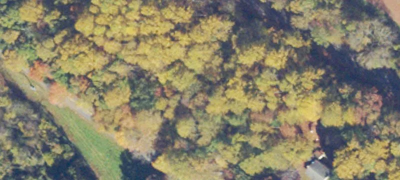 80 Acres of Versatile Land