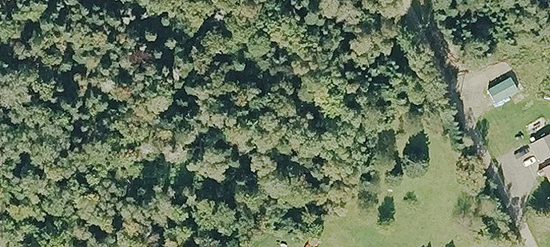 Residential Land in Central Location