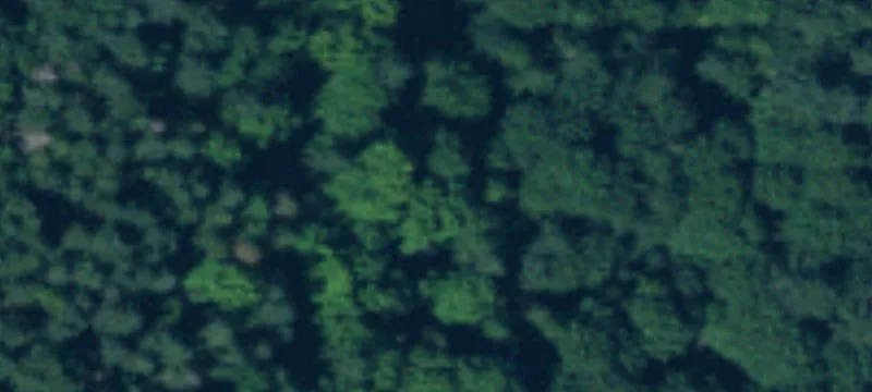 Black Lake Waterfront Land Parcel
