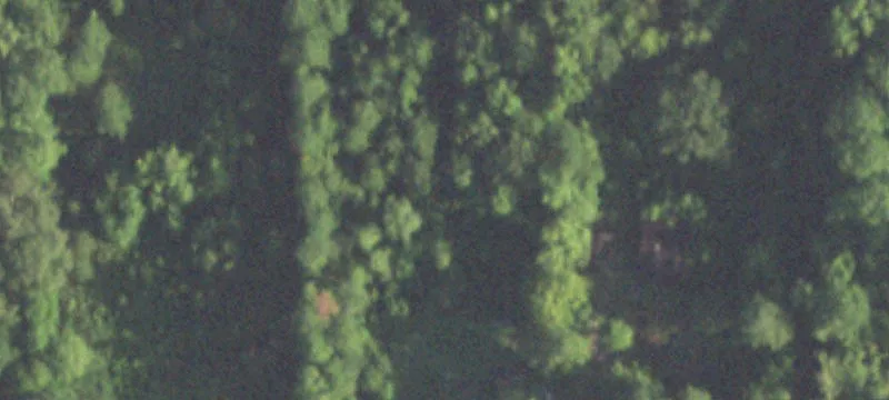 Unrestricted Wooded Land For Sale