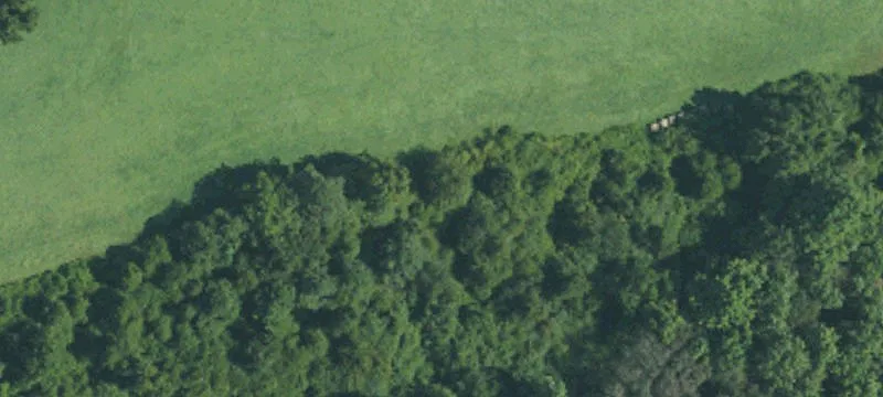 Cleared Land Near Highway 24