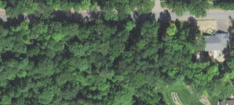 Buildable Lot with Wooded Views