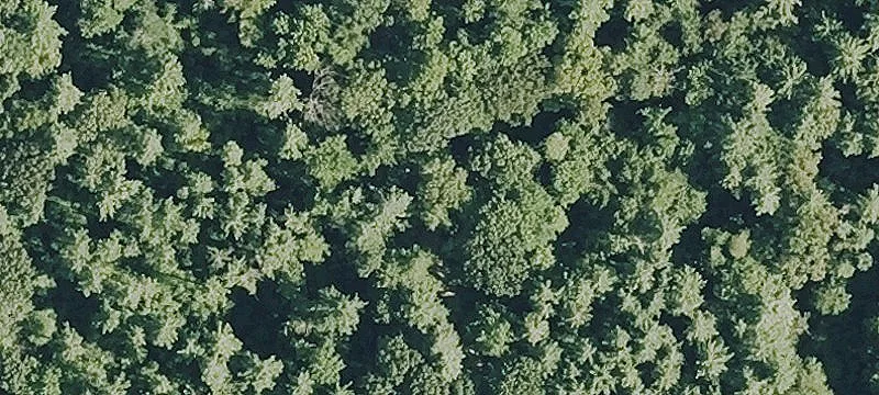 Scenic 15.47-Acre Parcel in Weare