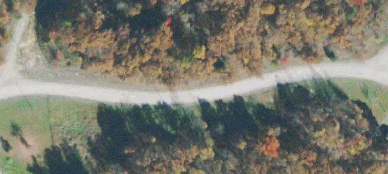 6.48 Acres Wooded Land Tract