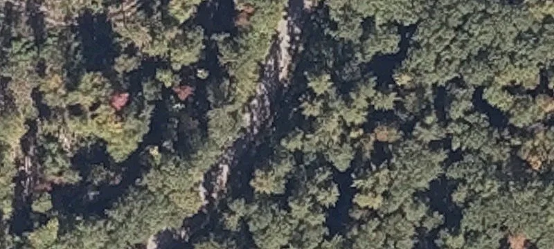 Wooded Acreage with Subdivision Potential