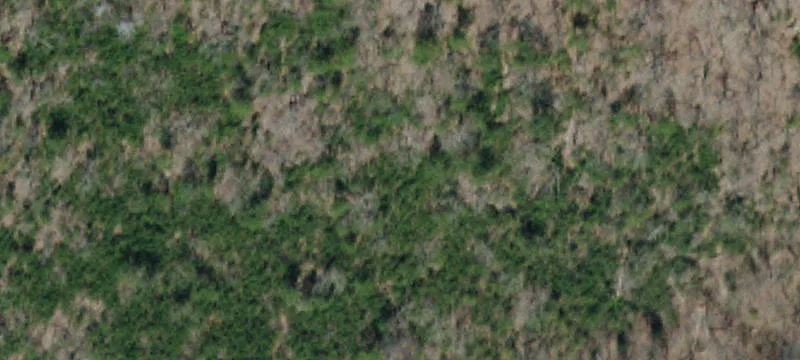 87.5 Acres Hunting and Recreation
