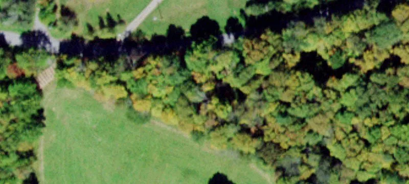8 Acres Wooded Residential Land