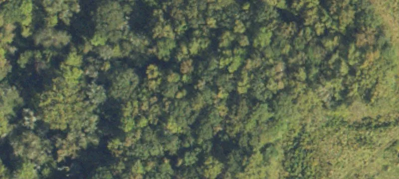 88 Acres Former Farmland