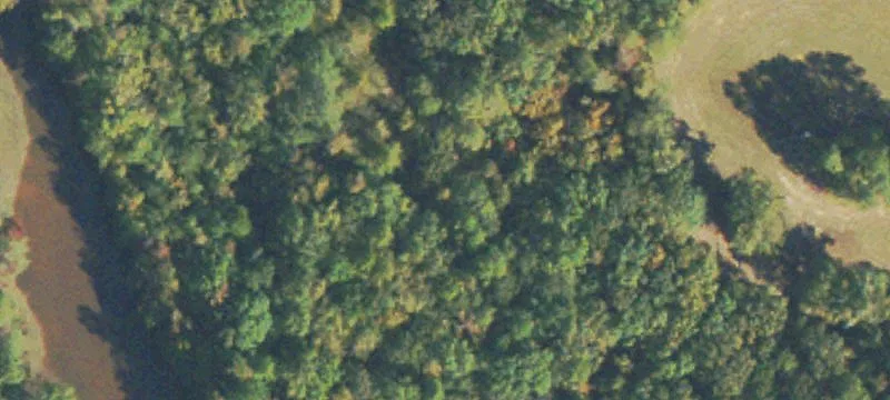 Wilkes County Acreage For Sale