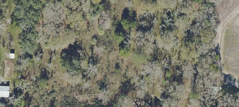 Land for Custom Home