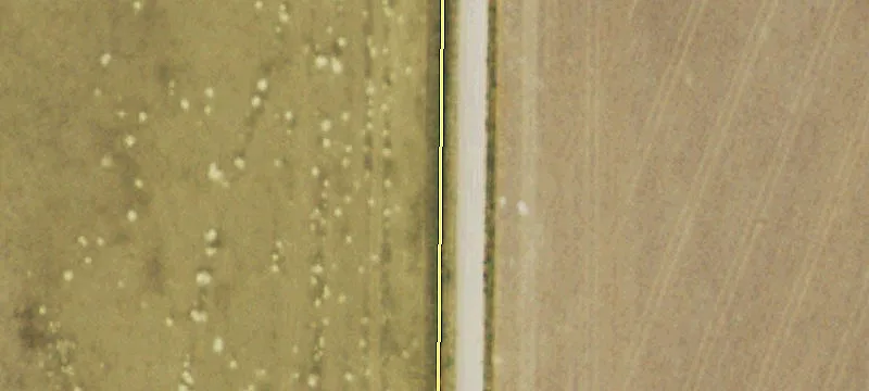 320 Acres Near Highway 385