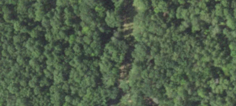 Bass Lake Waterfront Land Opportunity