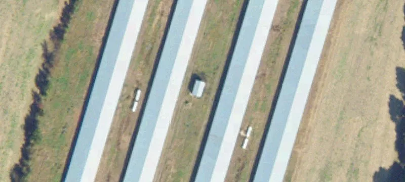 10 Acres with Chicken Houses