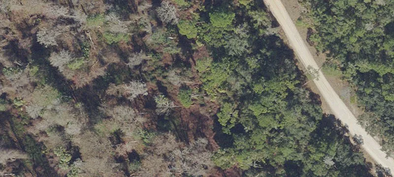 Residential Lot in Georgetown, Florida