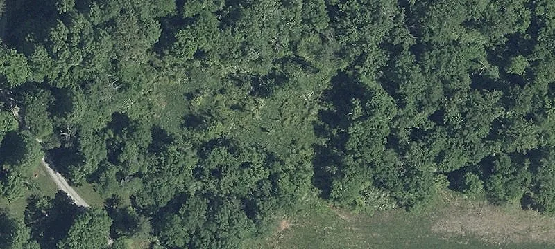Greenspring Valley Land Opportunity
