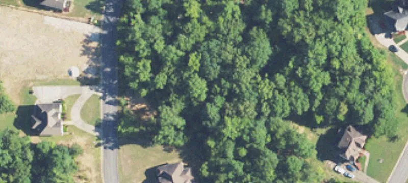 99 Acres in McCalla, Alabama