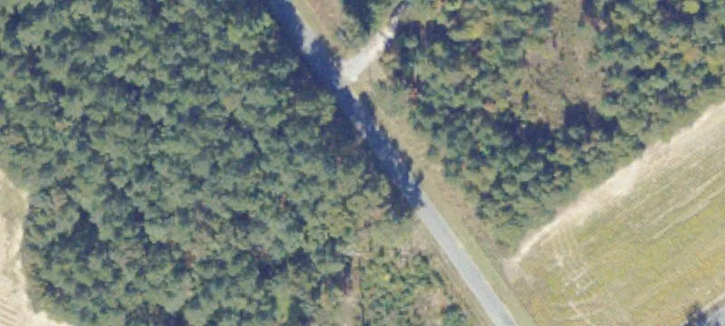 246.98 Acres on Brantley Moore
