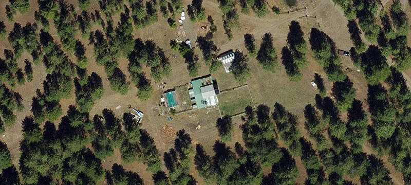 Secluded Land with Timber