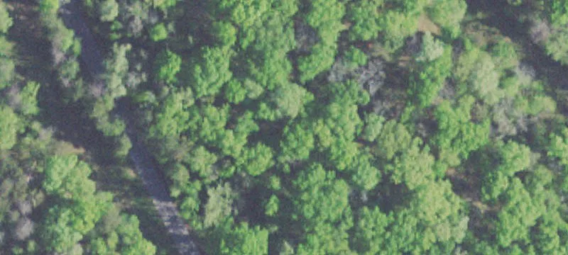 Tennessee River Waterfront Wooded Lot