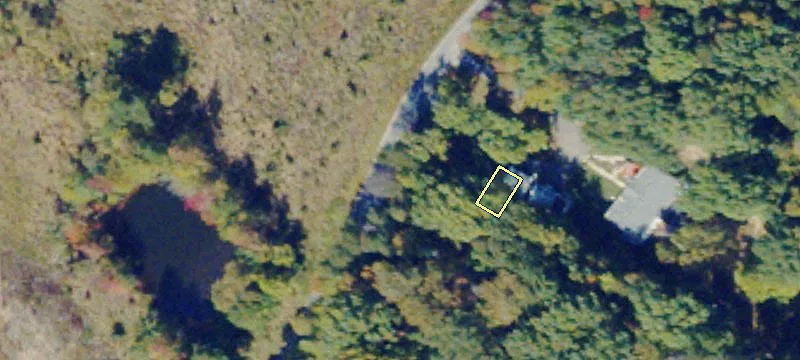 Undeveloped Land with Mature Trees