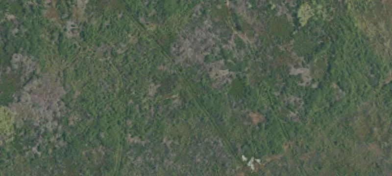 26.5 Acres of AG Land