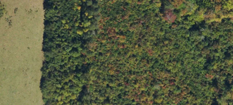 Guilford County Land Opportunity