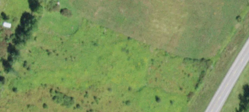 65.30 Acres on Corbin Hill