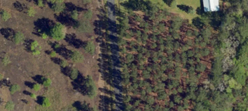 Jasper County Acreage For Sale