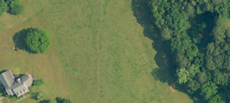 Wooded Lot Near Highway