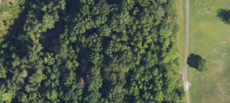 9.09 Acre Property with Creek