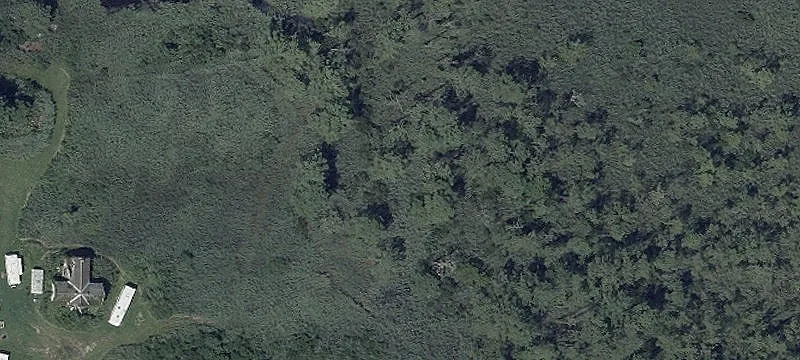Recreational Land with Wildlife Habitat