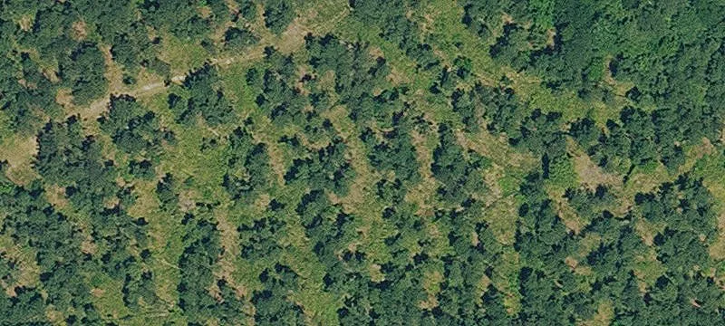 24 Acres Fenced Land
