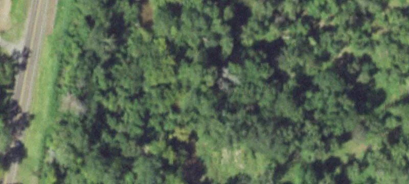 Secluded Timbered Land with Creek
