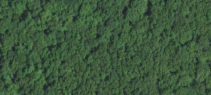 60 Acres Pastureland Opportunity
