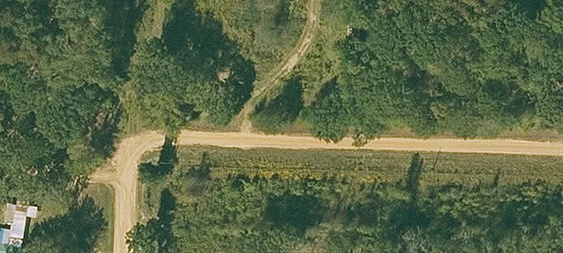 Acreage with Mature Oak Trees