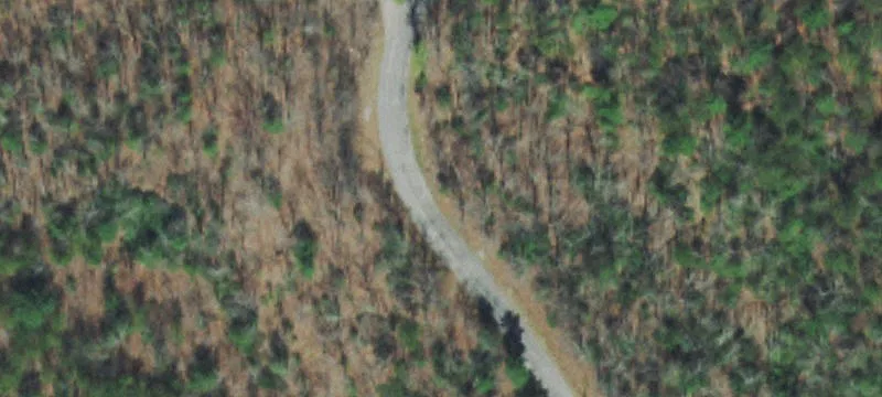 Unrestricted Wooded Acres in Tellico