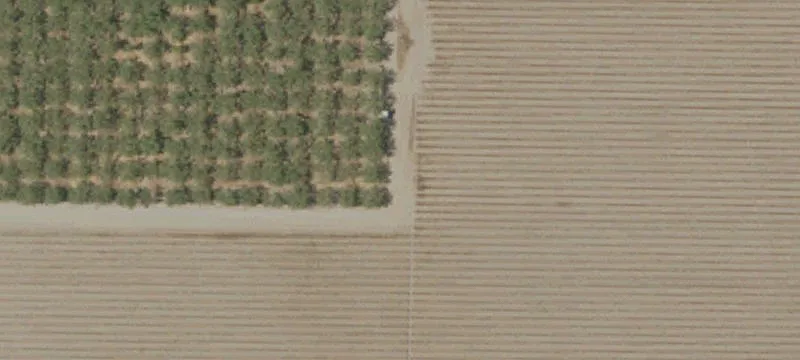 Productive Farmland in Winton, California
