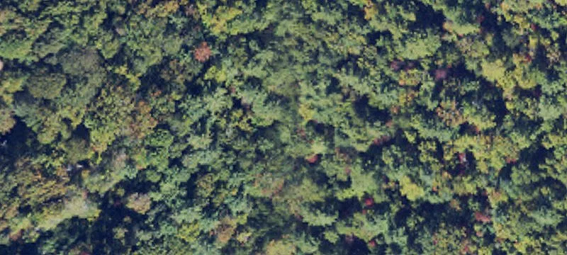 Leatherwood Resort Homesite Opportunity