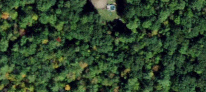 Secluded Wooded Land Parcel