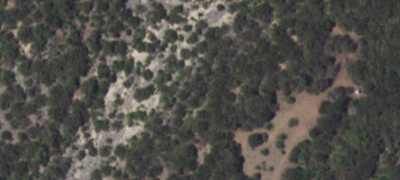 Hill Country Ranch with Income