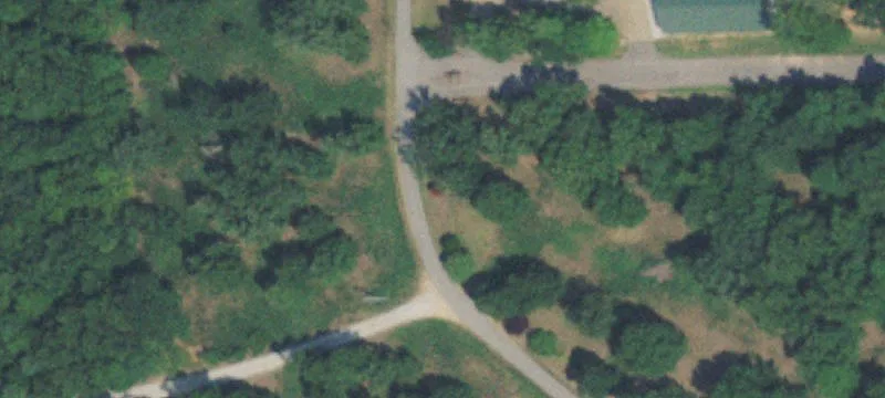95 Acres Wooded Land Near Pine Island