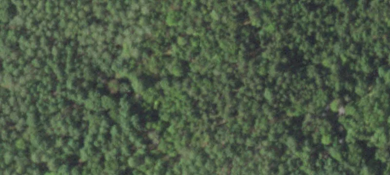 Wooded Lot Near Spooner